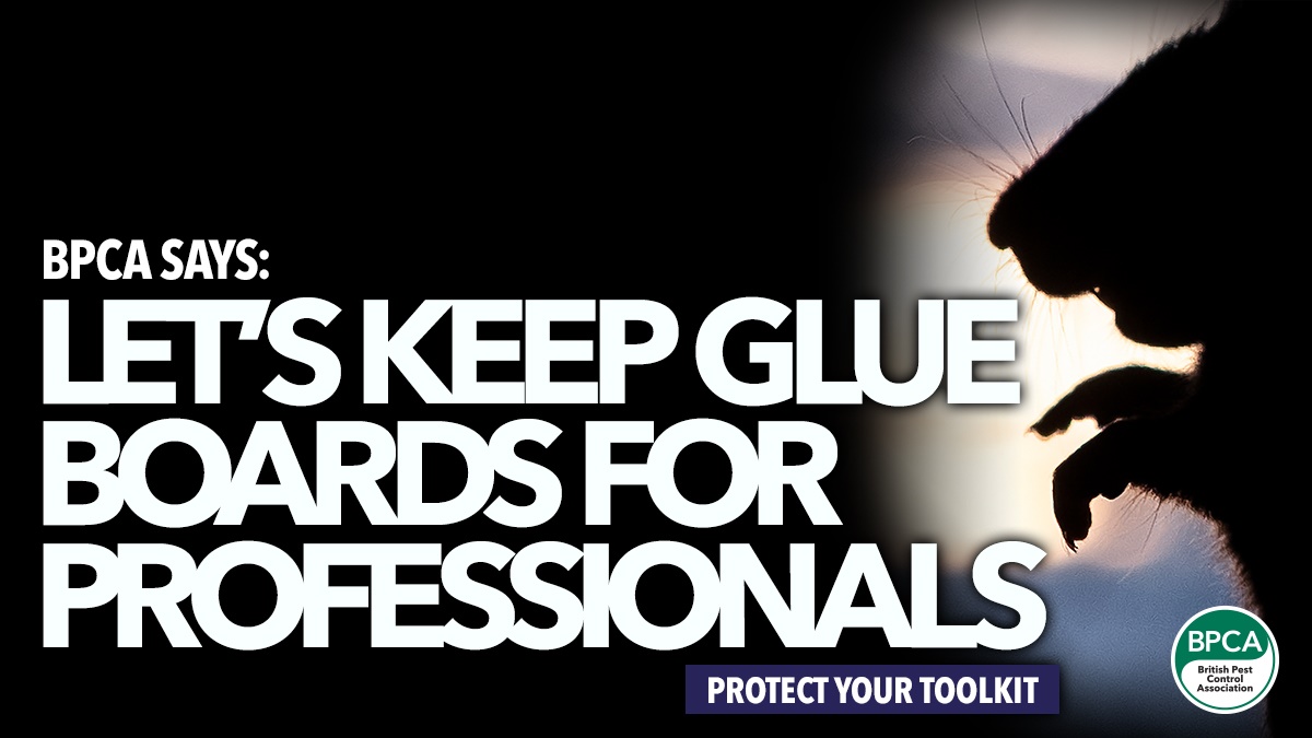 British Pest Control Association lobbying rodent glue boards professionals British Pest Control Association lobbying rodent glue boards professionals
